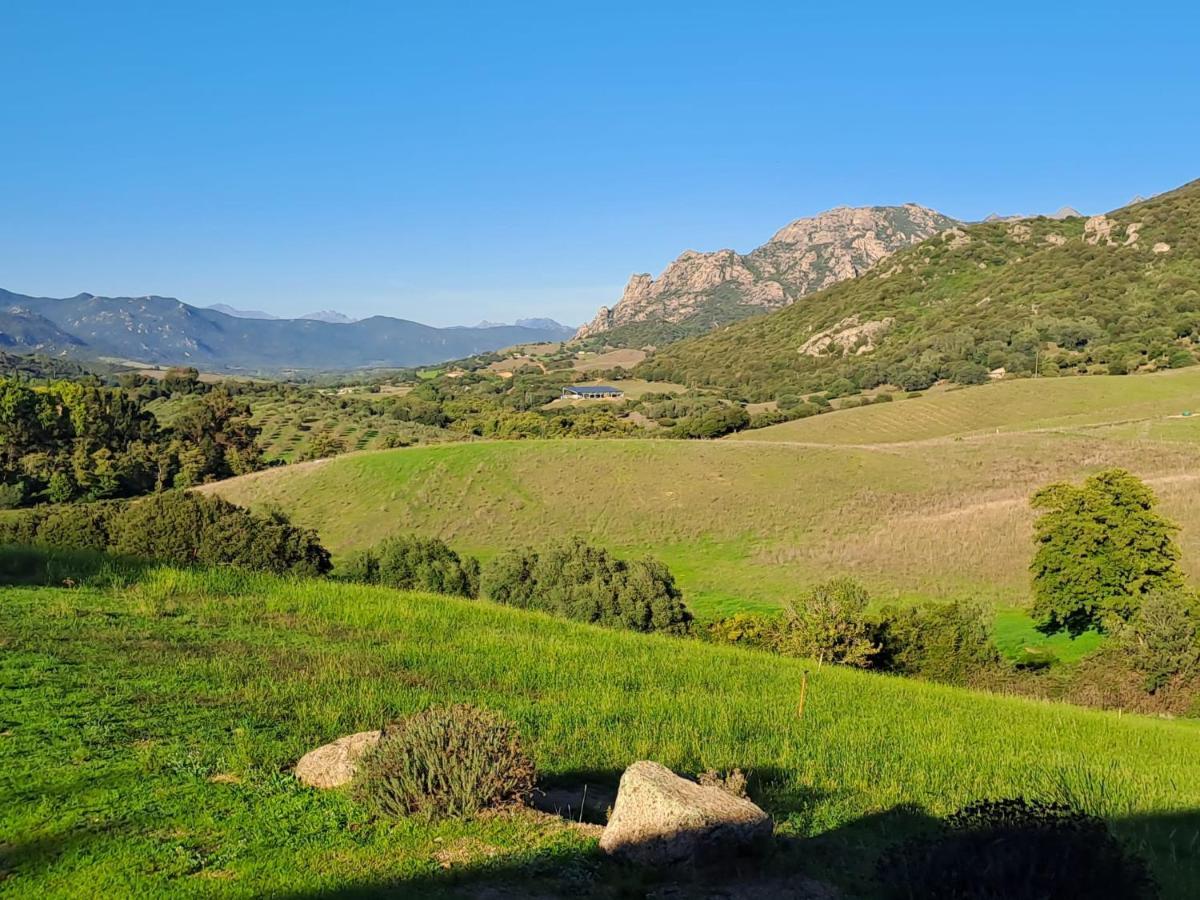 Bed and Breakfast Ferme De Roccapina Sarragia Exterior foto